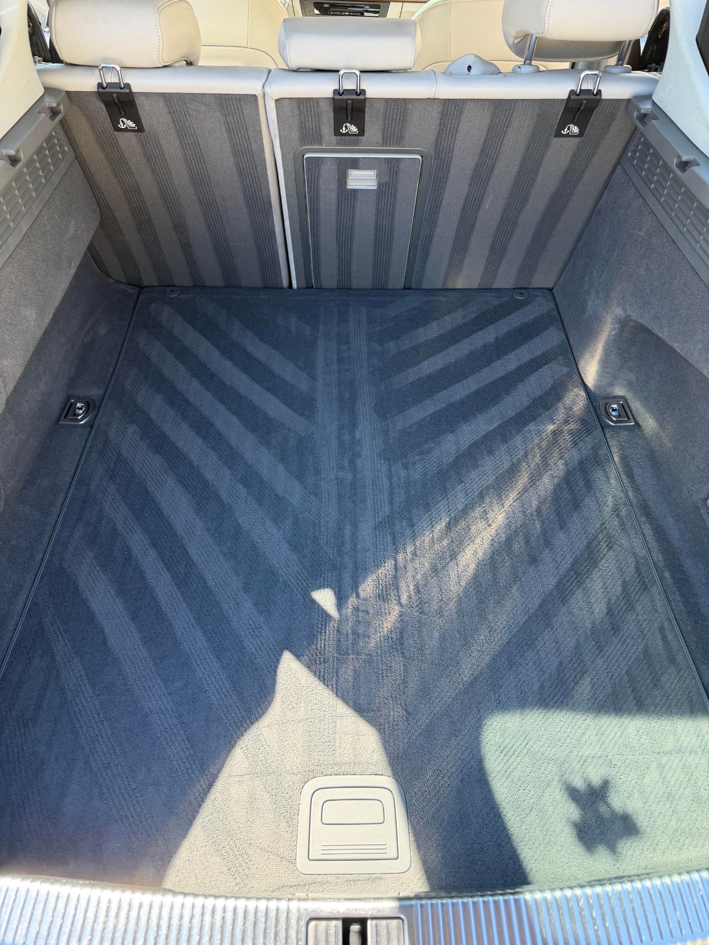 Cargo Carpet Extraction — detailing result by Archive Detailing