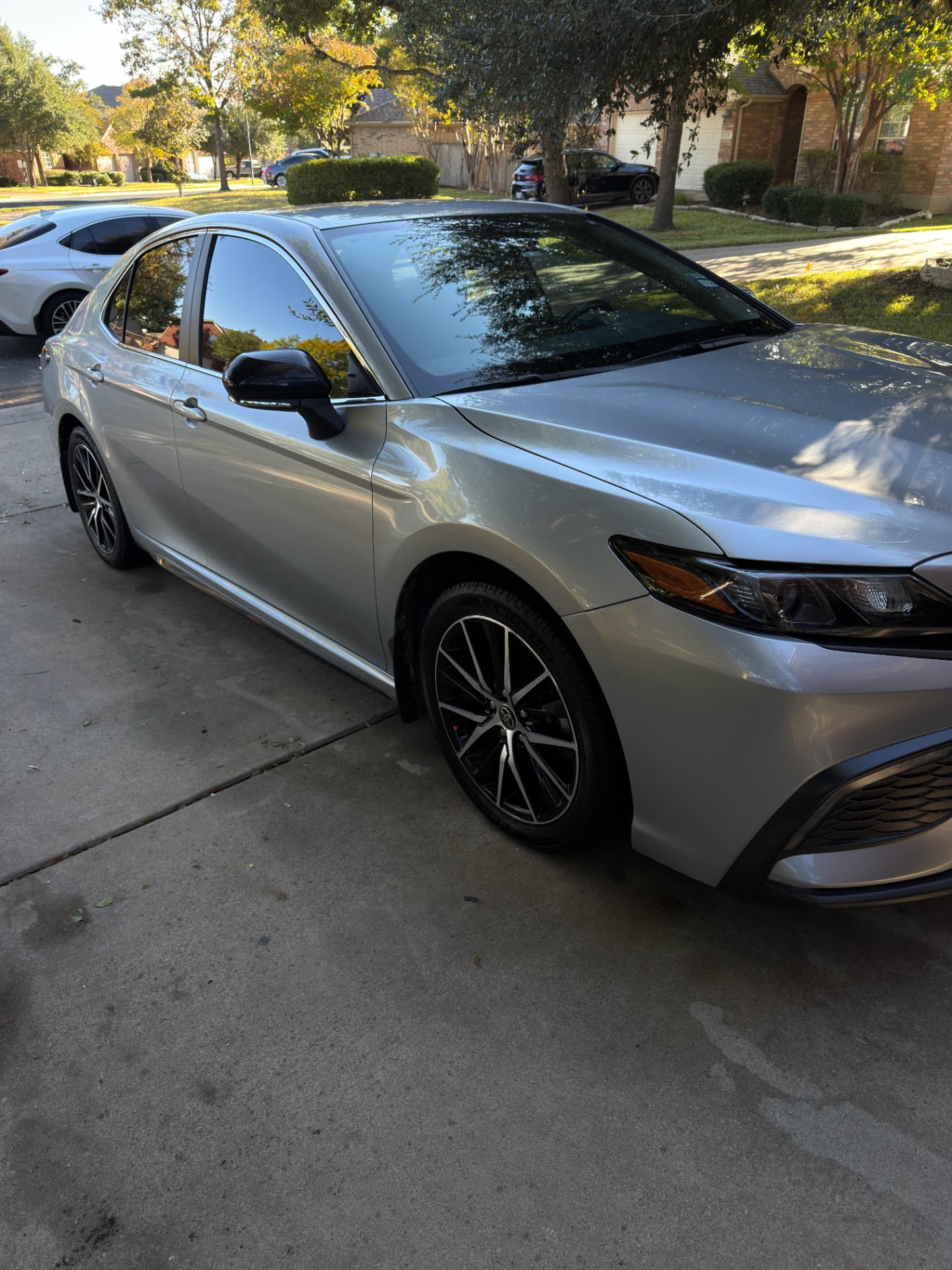 Finished silver sedan reflecting trees after a full interior and exterior detail