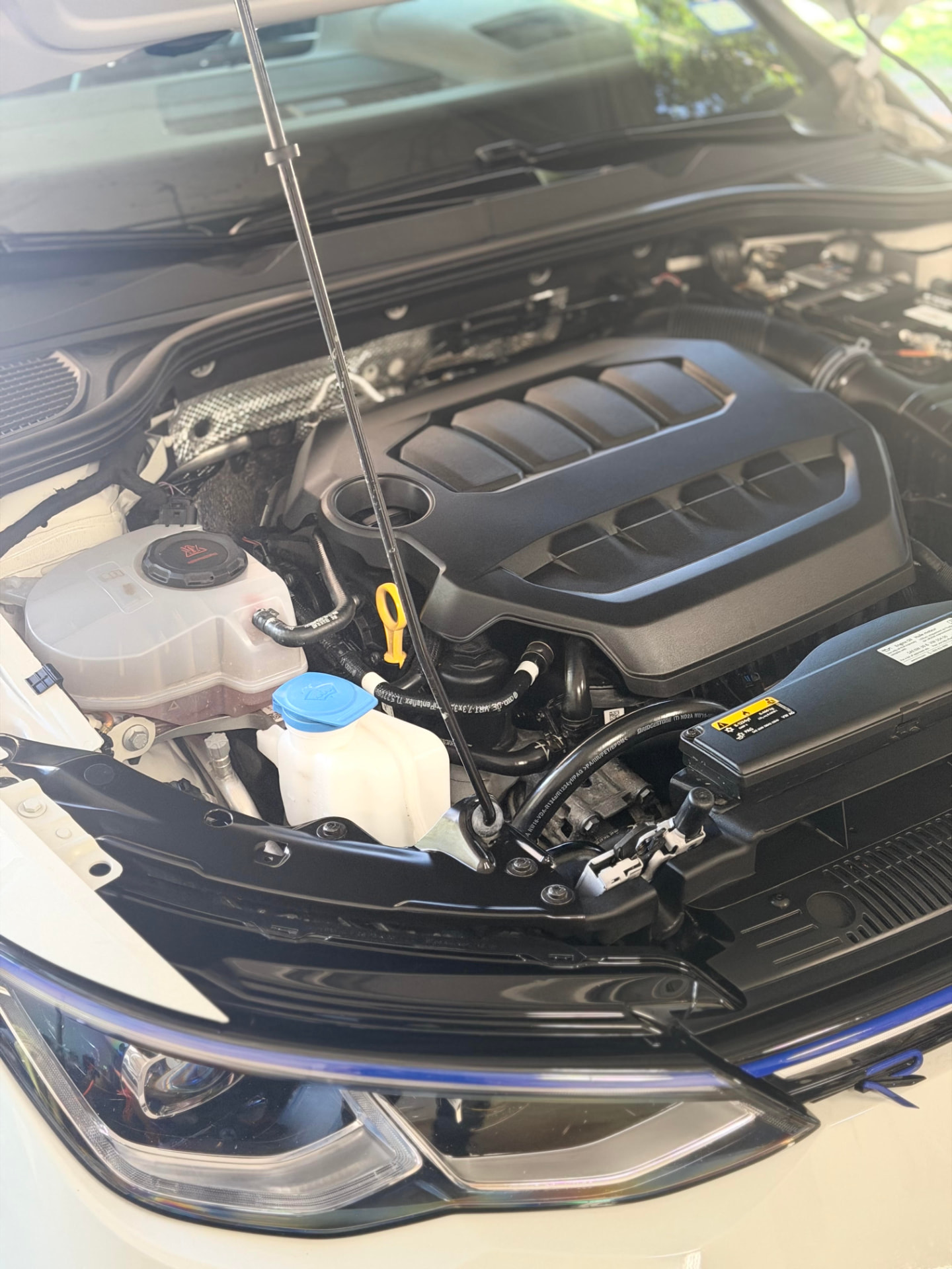 Engine Bay Finish — detailing result by Archive Detailing